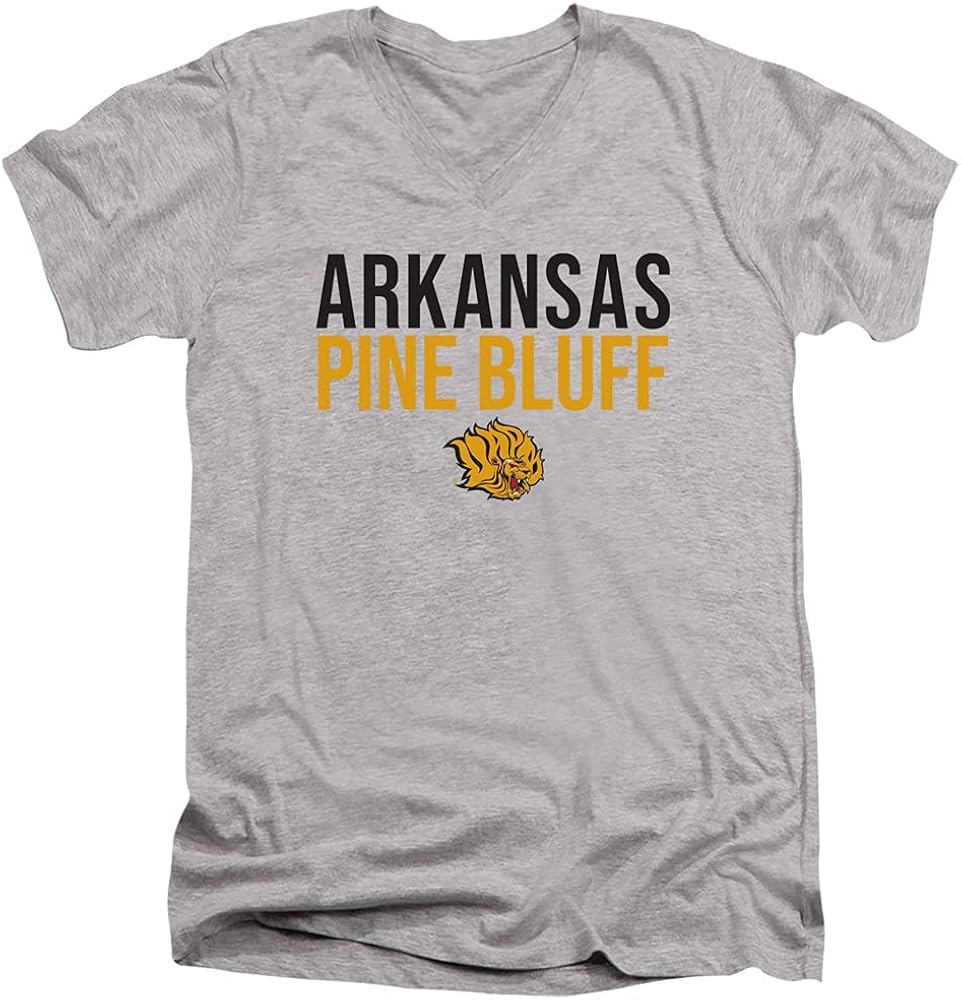 University of Arkansas at Pine Bluff Official Stacked