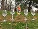 The Wine Savant Tall Picnic Sticks Wine Glass and Bottle Stakes, 5 Piece Set, Perfect for Blanket or Low Seating (Stainless Steel)