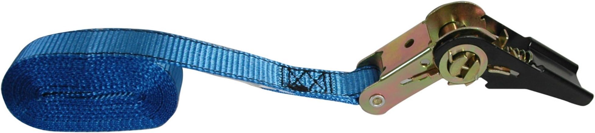 Reese Secure 9546300 12' Standard Duty Endless Ratchet