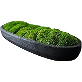 ROOTS OF EARTH CO. Decorative Moss Planter, Wooden Dough Bowl with Lush Green Moss, Moss Bowl Centerpiece 24 x 8 x 4 inches