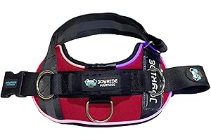 Joyride Harness LED Light Up Dog Harness 2.0 - Patent Pending Design, 3 LED Modes, Vibrant Rechargeable Lighting, Customizable Name Tag Area, and Convenient On/Off Button for Enhanced Pet Safety