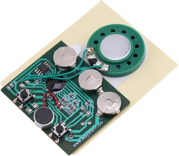 Voice Module, 30s Recordable Music Sound Voice Module Chip 0.5W with