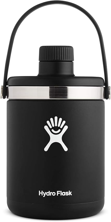 glass containers with stainless steel lids