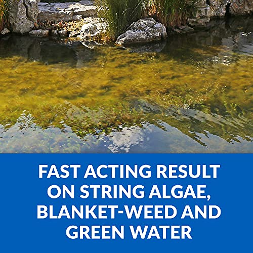 CrystalClear Algae DSolv Pond Algae Control Treatment, for Clearer