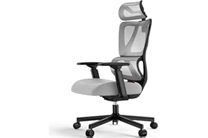 ProtoArc Ergonomic Office Chair, EC100 Big and Tall Mesh Computer Desk Chair with 30% Thicker Saddle Shaped Spring Cushion, Lumbar Support, Adjustable Headrest, Armrest for Home and Office - Gray