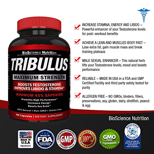 to how gain quickly stamina Powder Terrestris Extract Testosterone Booster Tribulus to how gain quickly stamina Powder Terrestris Extract Testosterone Booster Tribulus