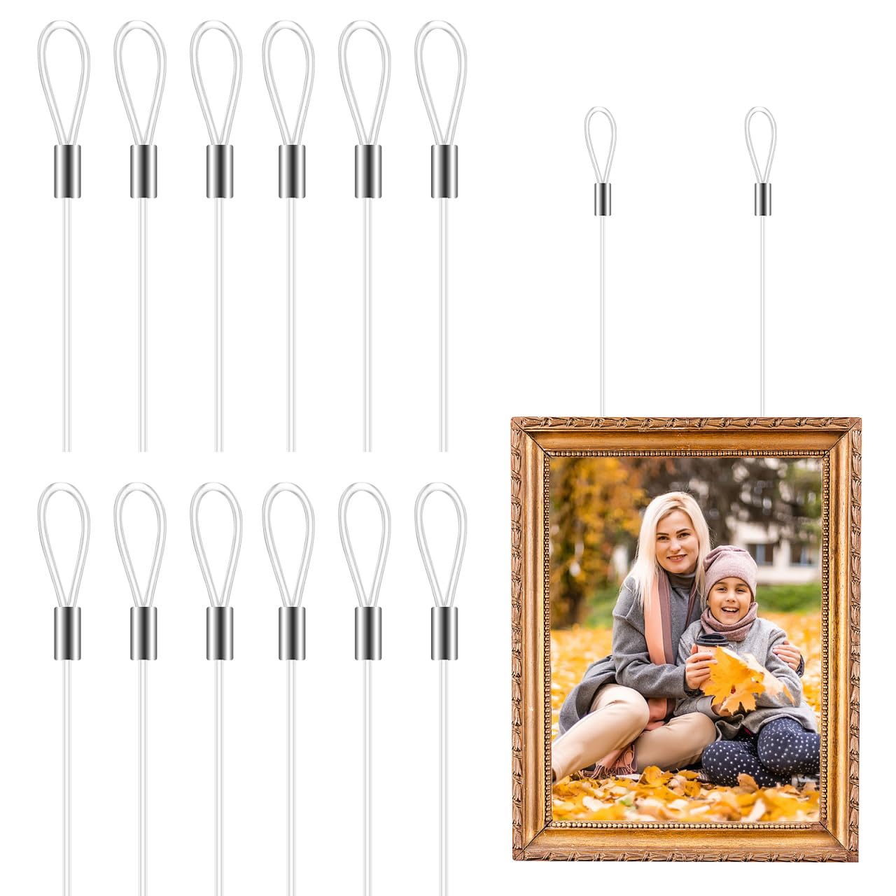 DIYEAH Picture Hanging Cord Nylon Rope 12-Pack 59.06In Clear Invisible Wire with Loops for Frames Mirrors Clothesline Home Decor