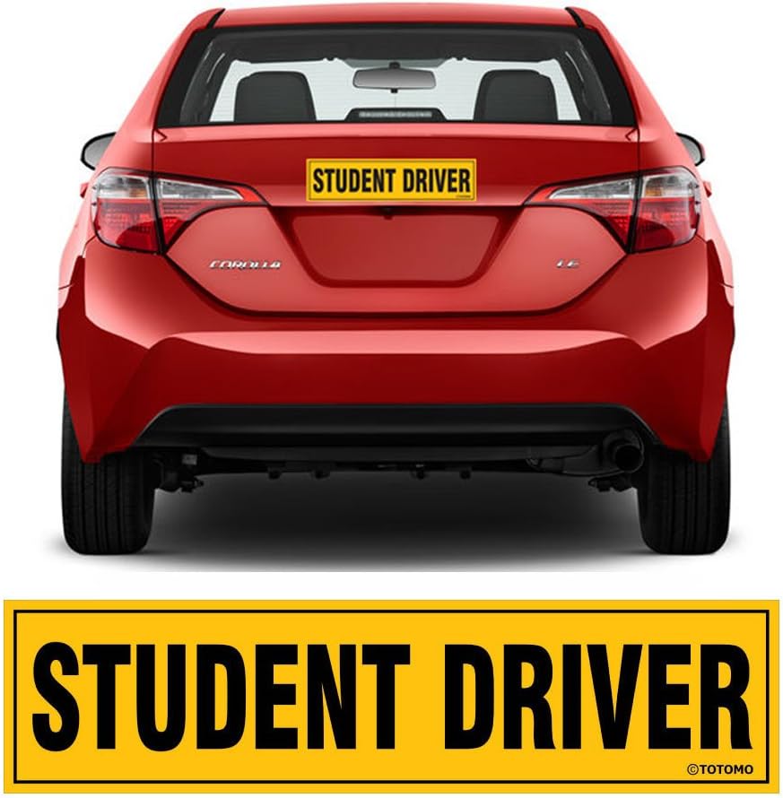 The 10 Best Oversize Refrigerator Magnets