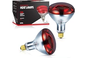 BULBMASTER 250 Watts R40 Red Heat Lamps Outdoor Bulbs for Pets Flood Light Bulb for Chickens Infrared Reflector 250W R40 Incandescent Medium E26 Base 2 Pack