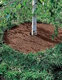 48" Coco Fiber Tree Rings, Set of 2
