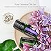 Anjou Essential Oils Set Top 9 Pack 100% Pure Aromatherapy Oil Kit, Include Lavender, Bergamot, Sage, Grapefruit, Palmarosa, Cinnamomum and More