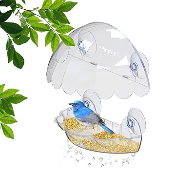 Amazon Com Petsn All Window Bird Feeder Patented Design With