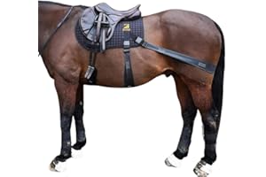 Equine Balance Band System (Sport)