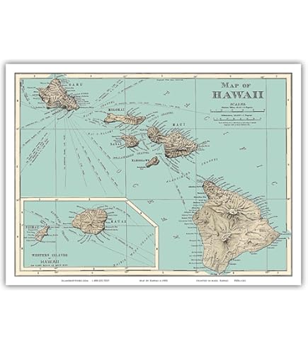 Hawaiian Air アートマップ ビンテージポスター Hawaiian Air