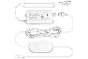 Lepro E1 Lights Accessories-29V Power Adapter and Controller, ONLY for Lepro E1 Permanent Outdoor Lights, NOT Compatible with Other Brands