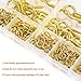 HELIFOUNER 200 Pieces 11 Sizes Brass Plated Steel Screw Eyes Assortment Kit