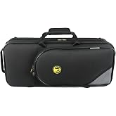 Omebaige Rectangular Case for Eb Alto Saxophone;Sax Gig Bag (IF-ASC-RECT01) | Lightweight Rectangular 600D Nylon Alto Sax Case: Built-In Stowaway Backpack Straps,Large Pockets. Heavy-Duty Pro Protection
