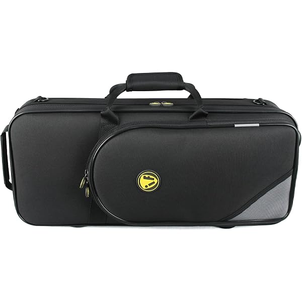 Amazon.com: Omebaige Rectangular Case for Eb Alto Saxophone;Sax