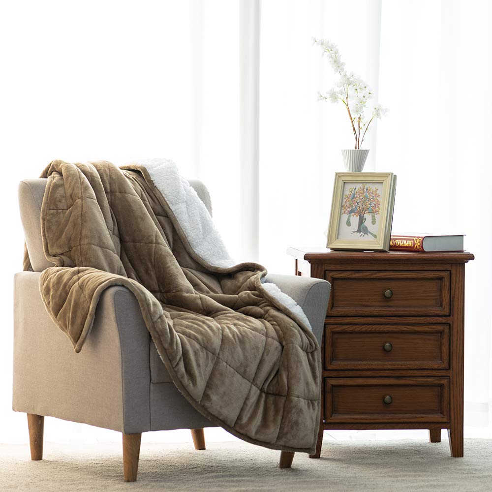 BUZIO Sherpa Fleece Weighted Blanket for Adult, 15 lbs Heavy Fuzzy Throw Blanket with Soft Plush Flannel, Dual Sided Queen Size Cozy Fluffy Blanket, 60 x 80 inches, Light Tan