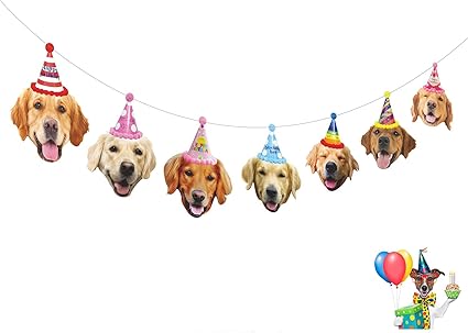 golden retriever birthday party