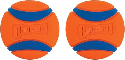 Chuckit Ultra Ball 5 cm Small 2 Pack Durable High Bounce Rubber Dog Ball