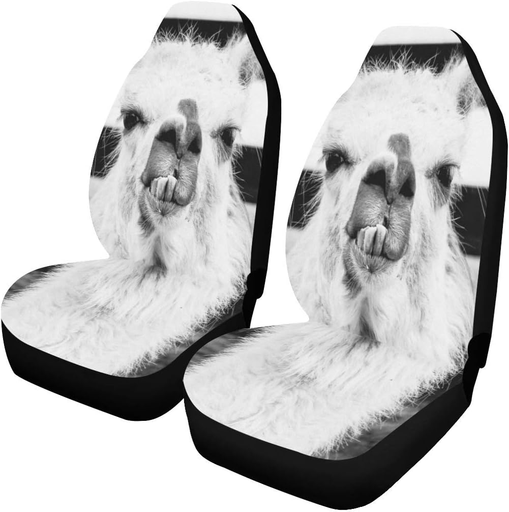 Best seat covers armrest vintage for car