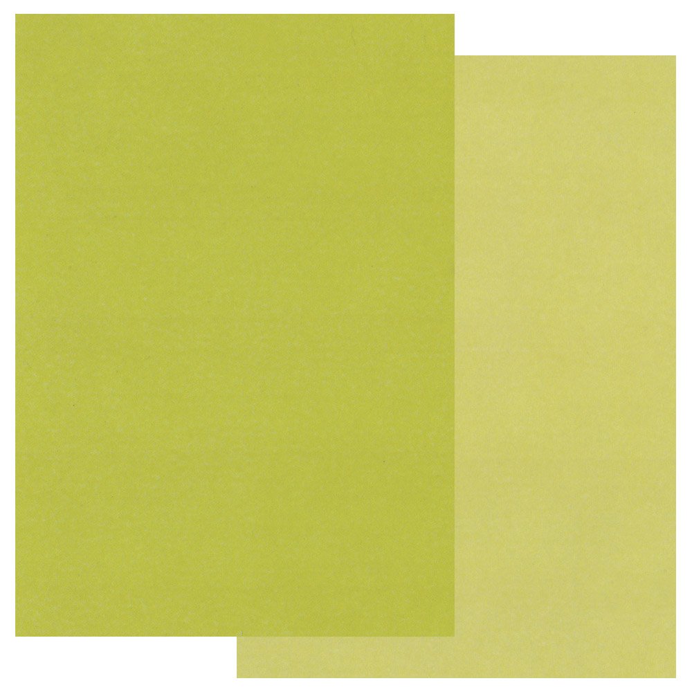 Coloured Parchment Two Tone Pack A5 x 20 Green