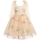 Baby Girl Sleeveless 3D Butterfly Floral Embroidery Ruffle Tulle Dress Toddler Birthday Party Tulle Dress