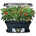 AeroGarden Extra (LED) with Gourmet Herb Seed Pod Kit