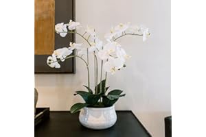CG Hunter Faux White Orchid Plant, Premium Artificial Indoor Flower Display Stands 23”, Beautiful Sculptural Blooms That Lasts Forever, White Planter Pot Included