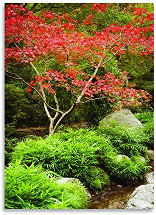 Amazon Com Gango Home Decor Japanese Park 1 Fine Art Photograph By Vitaly Geyman One 18x24in Fine Art Paper Giclee Print Posters Prints amazon com