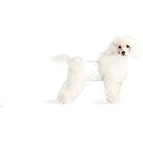 all absorb male dog wraps