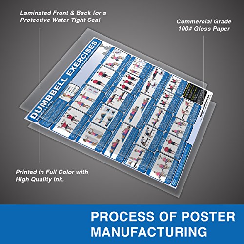 Laminated Dumbbell Exercise Poster/Chart - Shoulders and Arms - Created by Fitness Experts with University Degrees in Exercise Physiology etc. - ... - Fitness Poster - Dumbbell Workout Chart