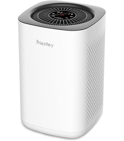 HOSECES AP2 PM1240B Replacement Air Filter Compatible with Airversa