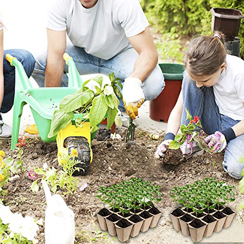 Seed Starter Peat Pots-Biodegradable Plant Seed Starter Peat Pots Holes Eco-Friendly Germination Seedling Trays with Bonus 10pcs Plant Markers for Vegetable Seed Germination，10pcs（120 Cells）