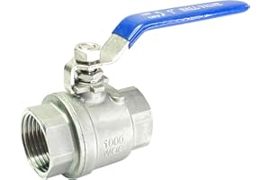 LOZOME 1" Female Ball Valve NPT Thread 316 Stainless Steel Full Port Ball Valve WOG1000
