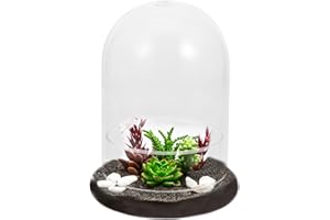 Alipis Glass Terrarium Bottle Clear DIY Moss Micro Landscape Container for Home Decor and Plant Display