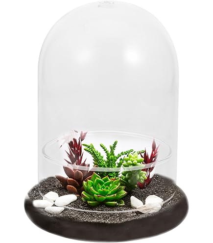 OGANAZI - Mini Pot De Terrarium En Verre Pour Plantes Succulentes - Dôme Transparent Avec Trou D'aération 3 Mm - 7
