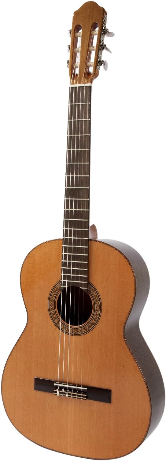Raimundo Guitar MODEL 118P Dark Mahogany back & sides. Rosewood fingerboard. Solid spruce top
