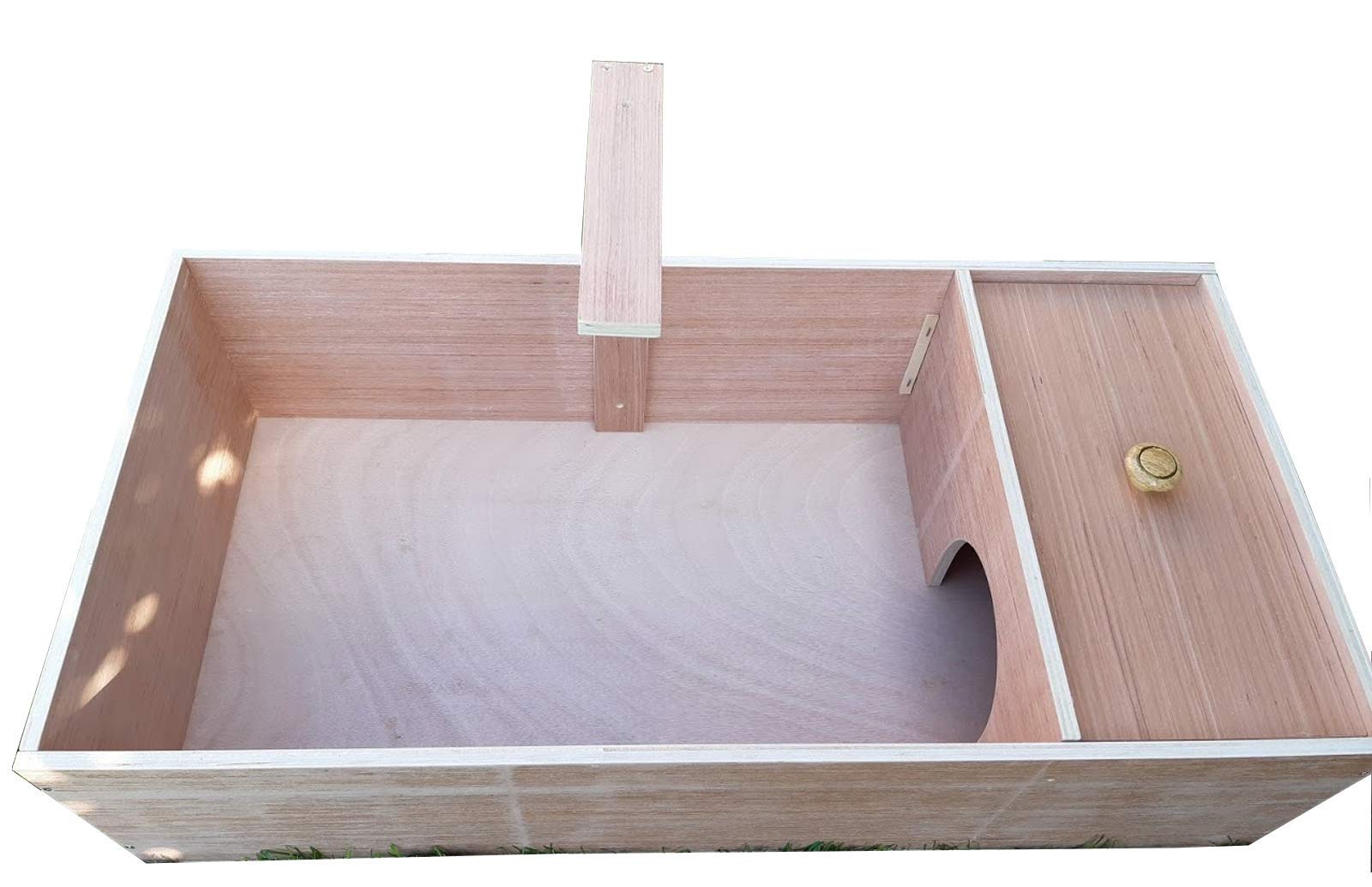 tortoise table accessories