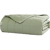 Beatrice Home Fashions Down Alternative Solid Color Blanket, King, Sage