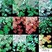 12 Boxes Holographic Iridescent Nail Sequins Mermaid Colorful Flakes Nail Art Sticker Glitter Make Up for Face Body Eyes