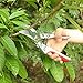 MTNZXZ Pruning Shears Silicone Handle Scissors Professional Bypass Pruners Gardening Cutters Tools SK-5 Steel Blade Clippers Tree Trimmer Efficient Rope Snips