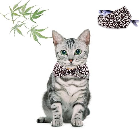 fabric cat collar