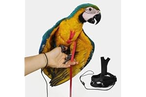 BARN ELEVEN Adjustable Bird Harness with 78.7 Inch Leash, Outdoor Flying Training Rope Kit for Bird Parrots, Parrot Flying Rope Straps Outdoor Training Traction Rope for Small Medium Large Size Birds (S)