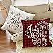 AVOIN Christmas Saying Throw Pillow Cover, 18 x 18 Inch Winter Holiday Buffalo Plaid Farmhouse Cushion Case for Sofa Couch Set of 4