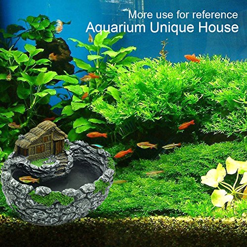 Garden Decoration Diy Tiny Creative Plants Pot House Import It All