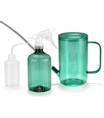 Arrosoir 1L Avec Long Bec Acier Inoxydable - Pour Plantes Intérieur - Bec Précision Et Mesures Transparentes
