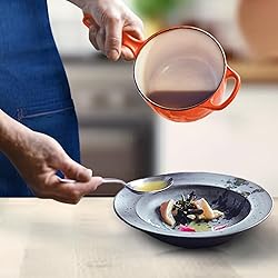 Healthy Choices 2 Quart Enameled Cast Iron Sauce