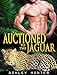 Auctioned To The Jaguar (Wild Shifters Book 6)